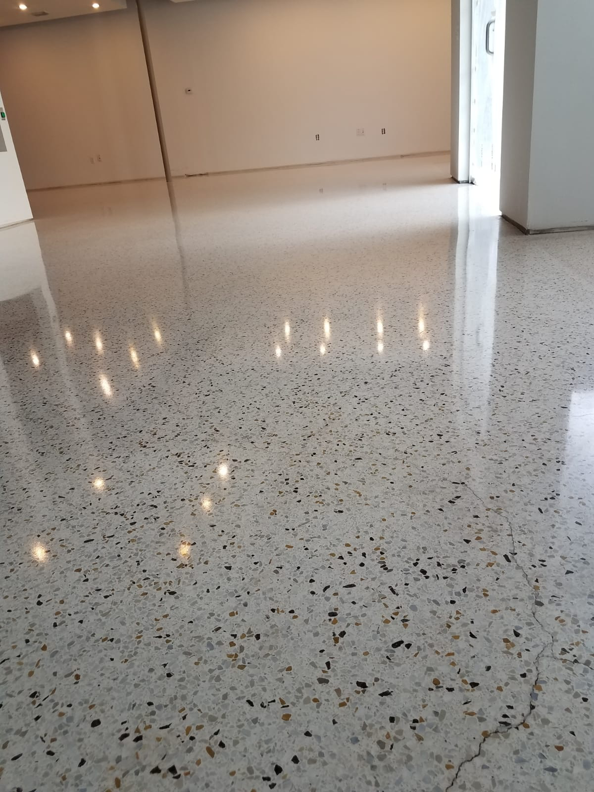 Terrazzo Restoration Polished Concrete Micro Topping In Miami